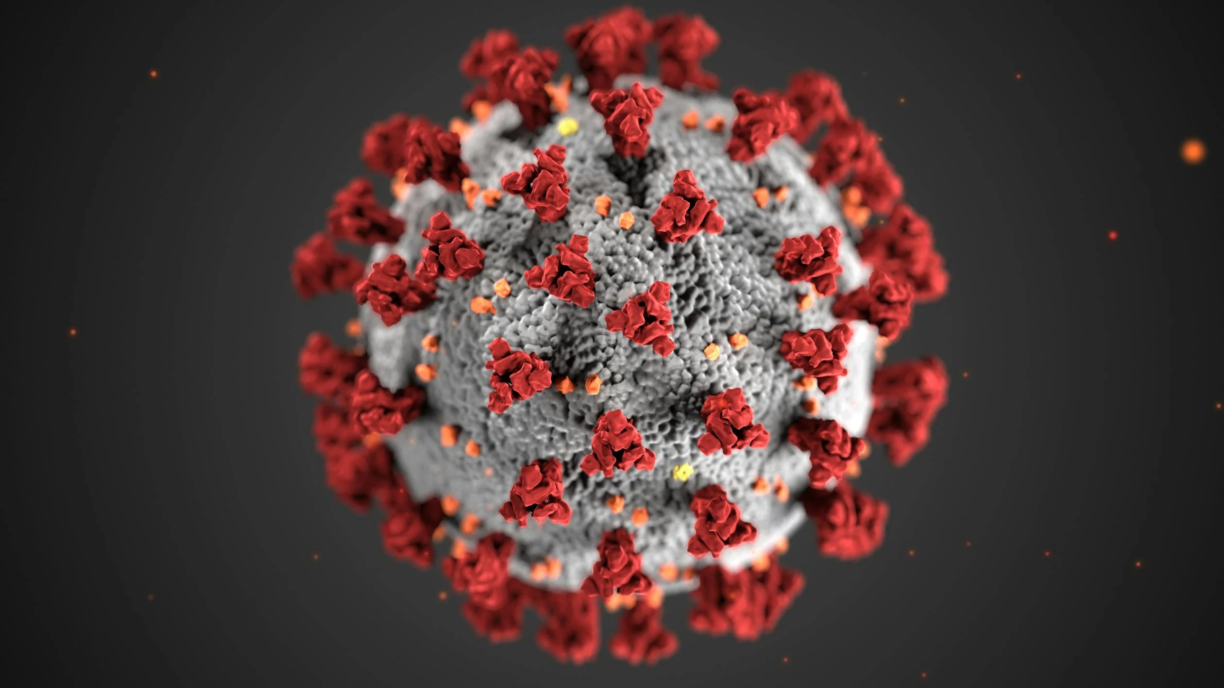 virus cúm dưới kính hiển vi