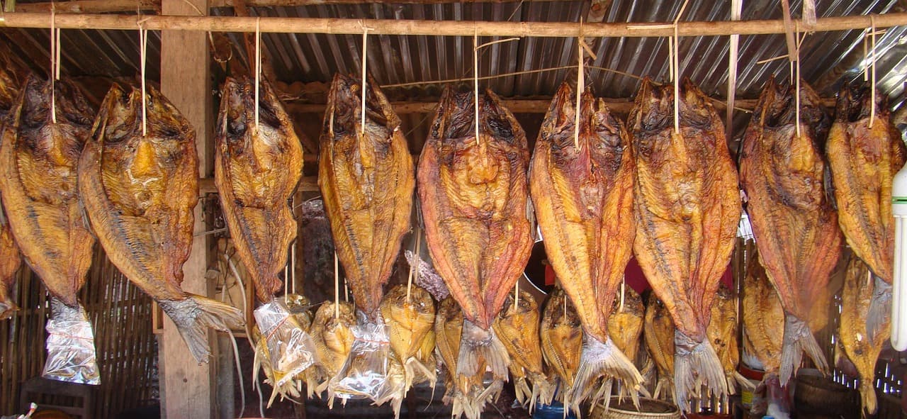 món ngon từ cá khô
