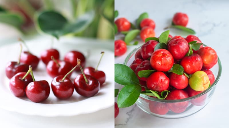 trái sơ ri và cherry
