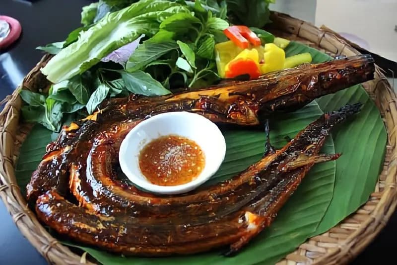 Hình ảnh minh họa cá chình với thân dài, da trơn, bơi trong môi trường nước ngọt, kèm theo biểu đồ phân bố môi trường sống của cá chình.
